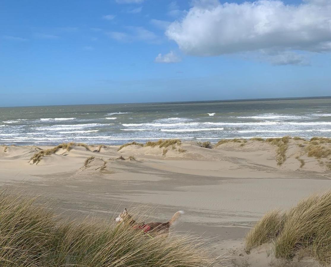 Moderne Studio Aan Het Strand In Oostduinkerke-Bad 코크시데 외부 사진